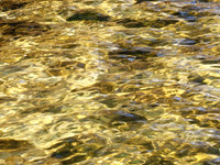 SHALLOW WATER ABSTRACT