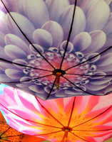 UMBRELLA ABSTRACT