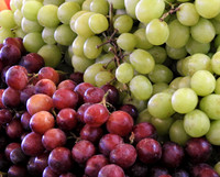 FUTURE WINE