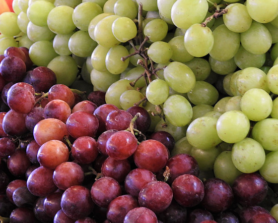 FUTURE WINE