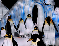 PENQUINS