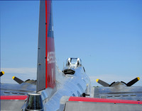 YANKEE LADY FROM THE REAR
