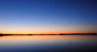 OTTAWA MARSH DUSK
