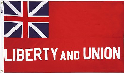 THE TAUNTON FLAG