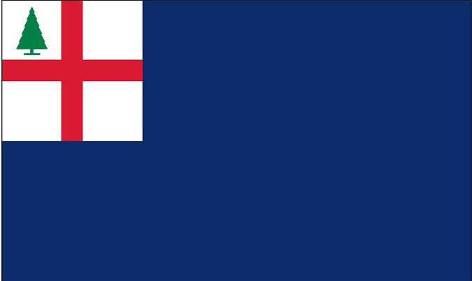 THE BUNKER HILL FLAG