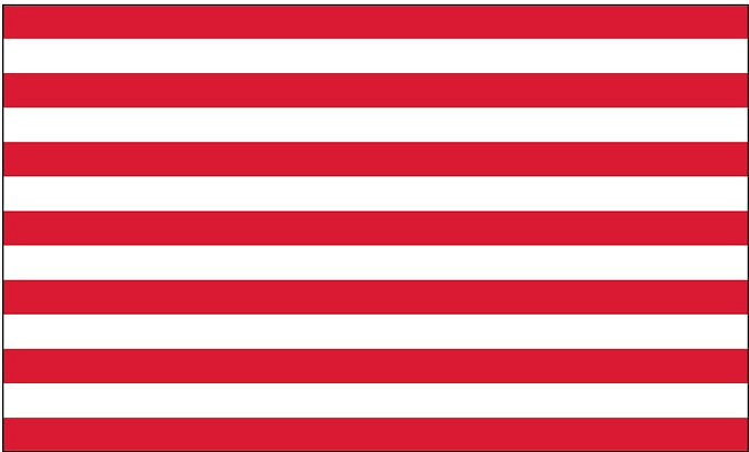 THE SONS OF LIBERTY FLAG