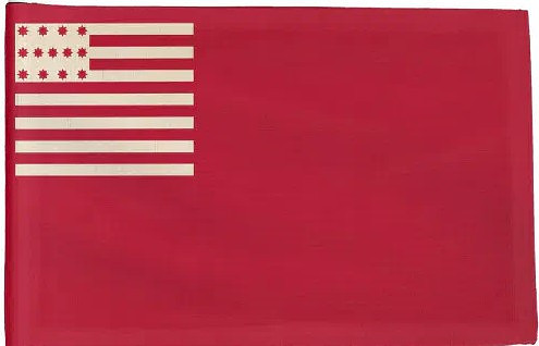 THE BRANDYWINE FLAG