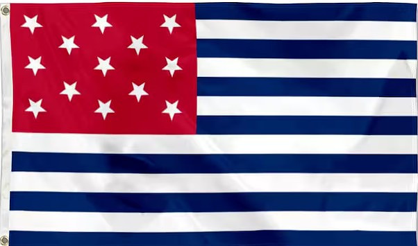 THE FORT MERCER FLAG