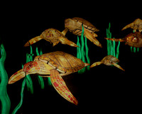 SEA TURTLES