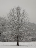 STANDING ALONE