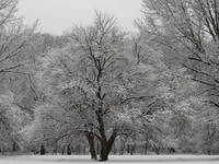 DRESSED IN WHITE