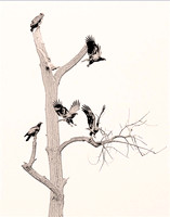 " A GATHERING OF EAGLES"