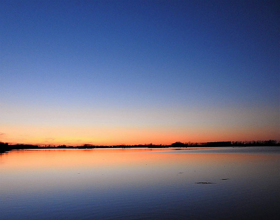 WETLAND DUSK